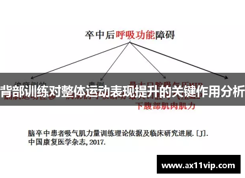 背部训练对整体运动表现提升的关键作用分析
